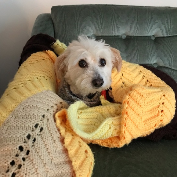 Meet your Posher, Erin - Picture 2 of 2